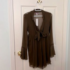 Sheer brown dress